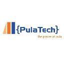 PulaTech, Inc. logo